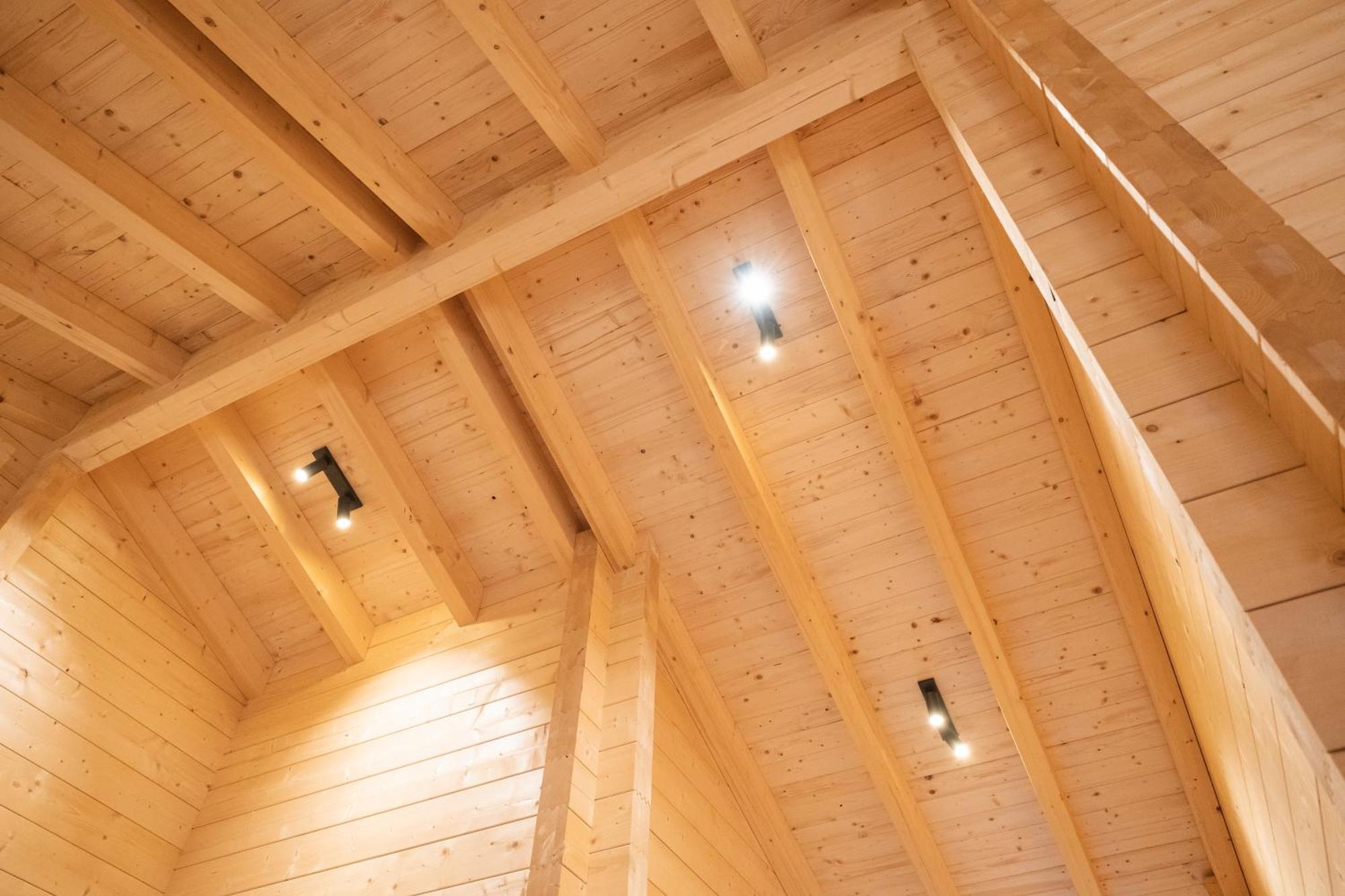 Netten Naturerlebnis Holz-Chalets Даун Екстер'єр фото